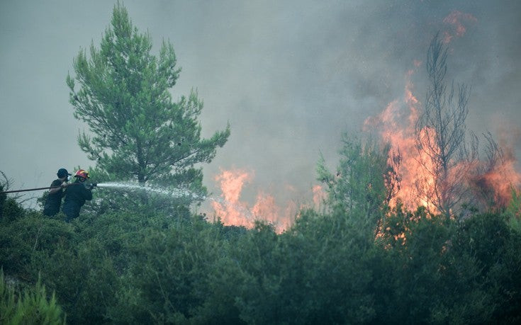 Καλύτερη η κατάσταση από τη φωτιά στη Μάκιστο Ηλείας